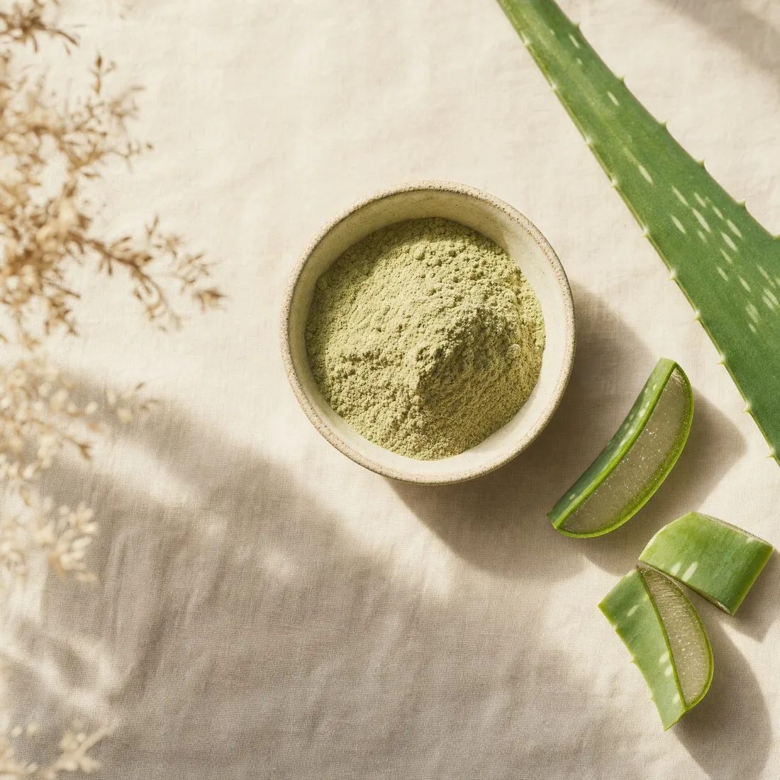 Aloe Vera Powder dehydrated powder