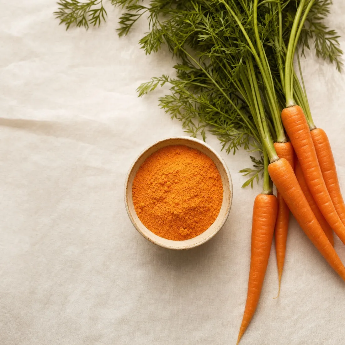 Carrot Powder dehydrated powder