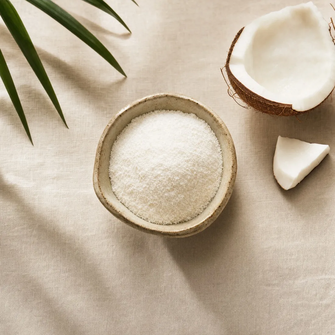 Coconut Water Powder dehydrated powder