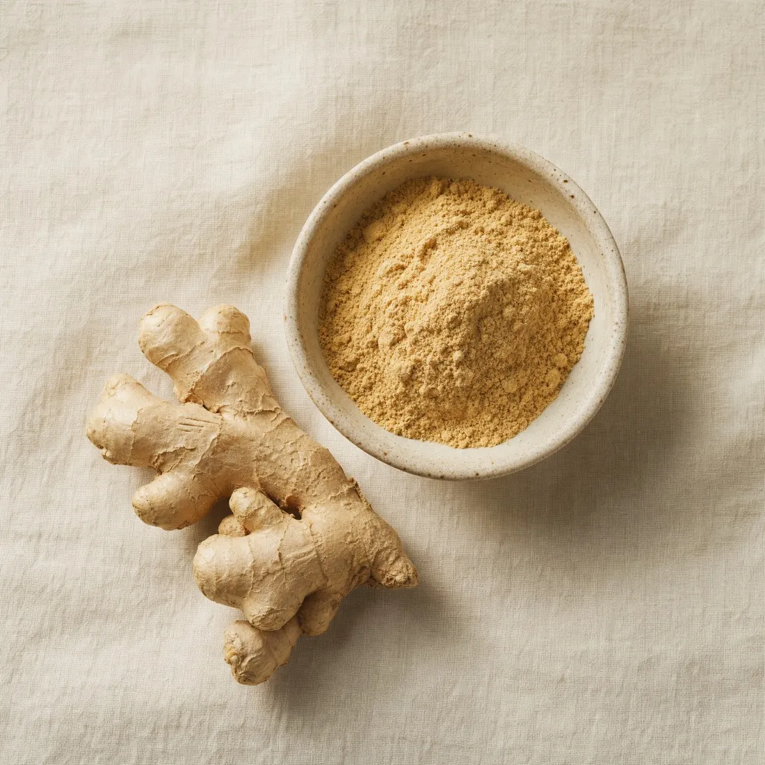 Ginger Powder dehydrated powder