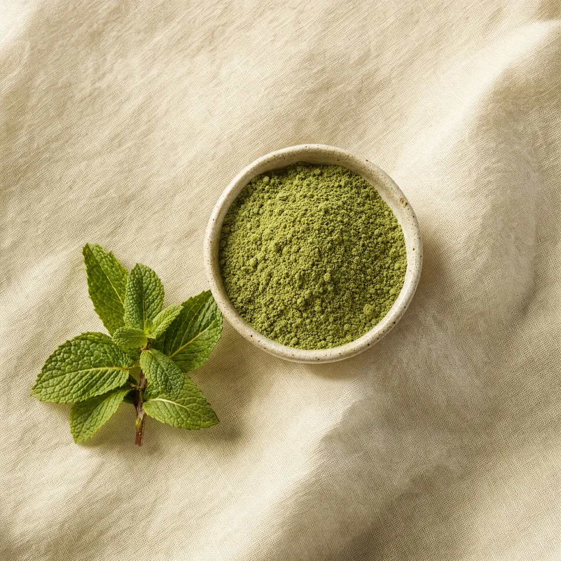 Mint Powder dehydrated powder