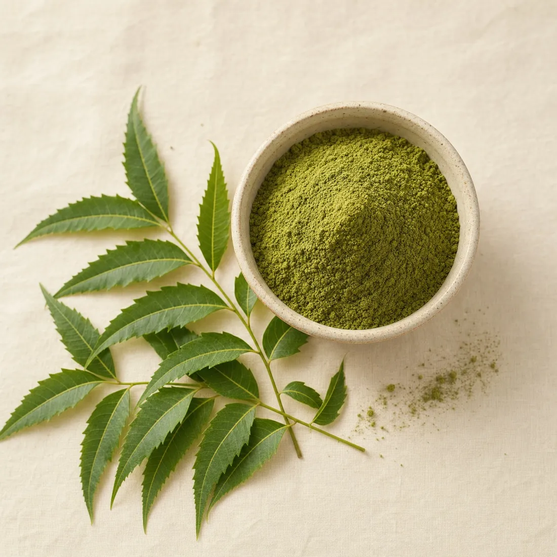 Neem Leaf Powder dehydrated powder