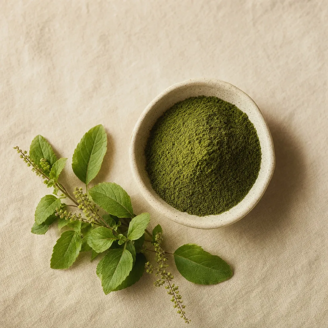 Tulsi (Holy Basil) Powder dehydrated powder
