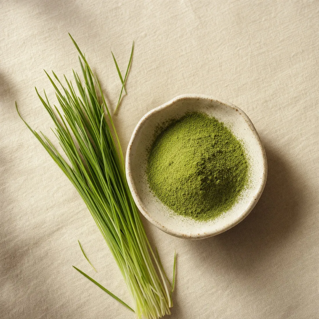 Wheat Grass Powder dehydrated powder
